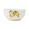 Dinnerware Service For 4|Studio Nova Lemons 16 Piece Dinnerware Set, Service for 4
