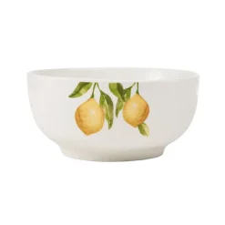 Dinnerware Service For 4|Studio Nova Lemons 16 Piece Dinnerware Set, Service for 4
