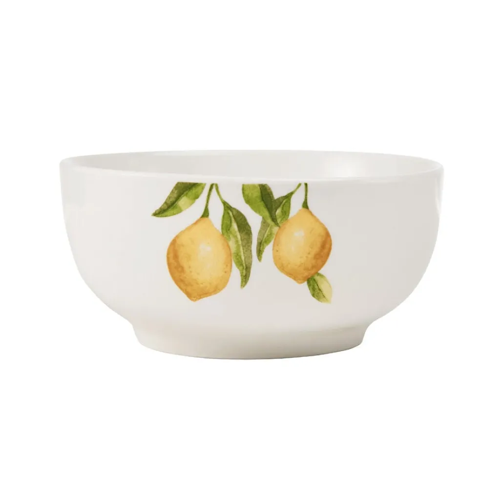 Dinnerware Service For 4|Studio Nova Lemons 16 Piece Dinnerware Set, Service for 4