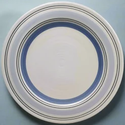 Dinner Plates|Pfaltzgraff® Rio Dinner Plate