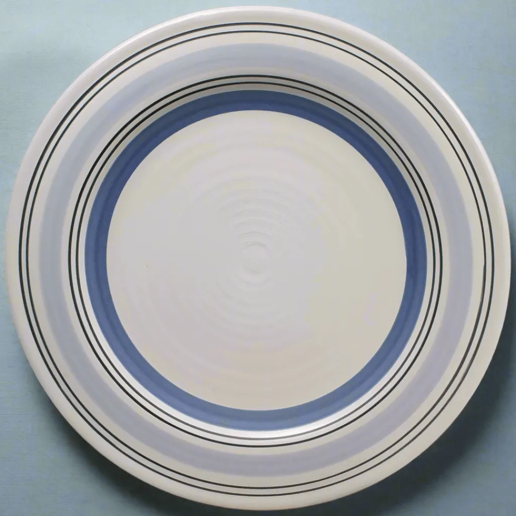 Dinner Plates|Pfaltzgraff® Rio Dinner Plate