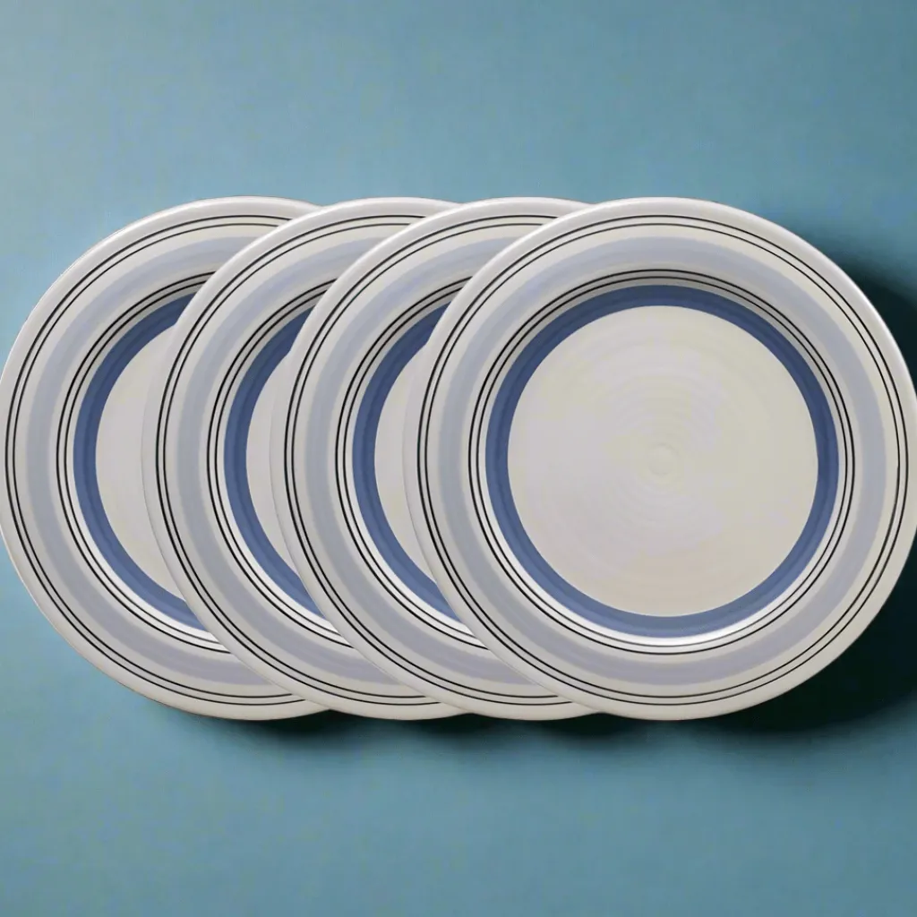 Dinner Plates|Pfaltzgraff® Rio Set of 4 Dinner Plates